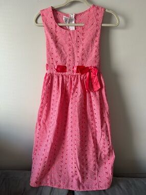 Ashley Ann gingham embroidered dress 18.5